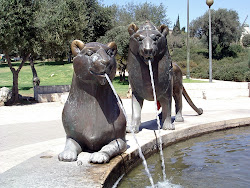 אריות בירושלים