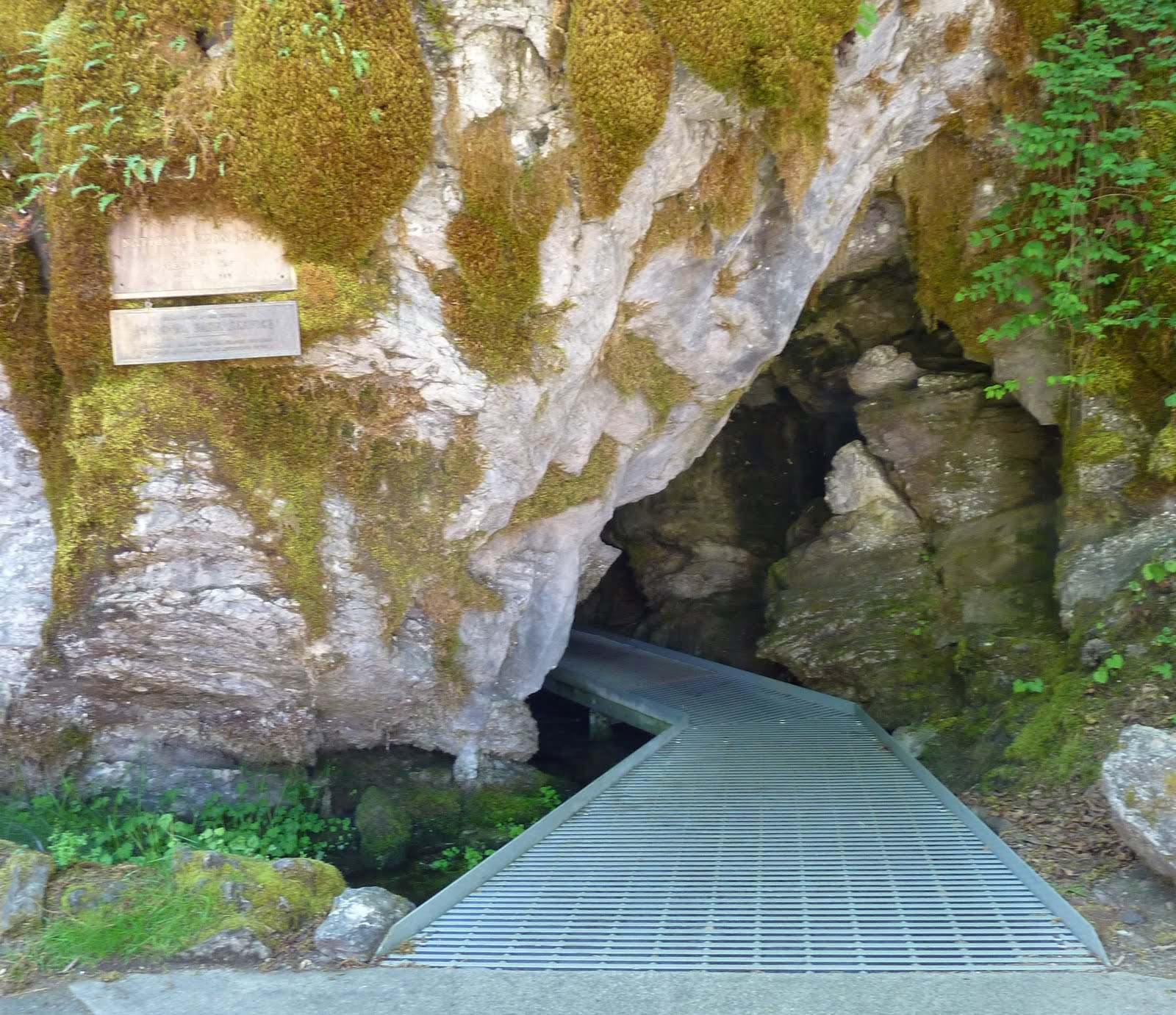 jendocino Cave Junction What's Your Function?