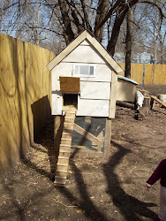 chicken coop backyard homestead roots