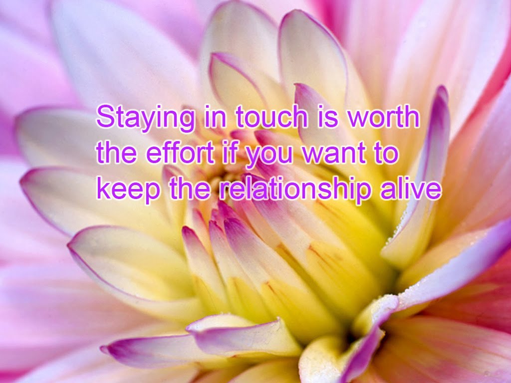 GeniusQuotes Staying in touch is worth the effort if you