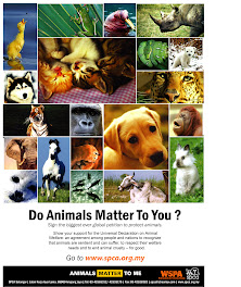 Do Animals Matter To You