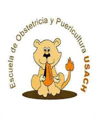 Escuela de Obstetricia y Puericultura - USACH