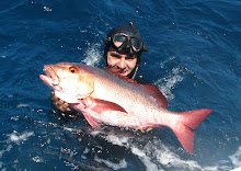 Red Snapper