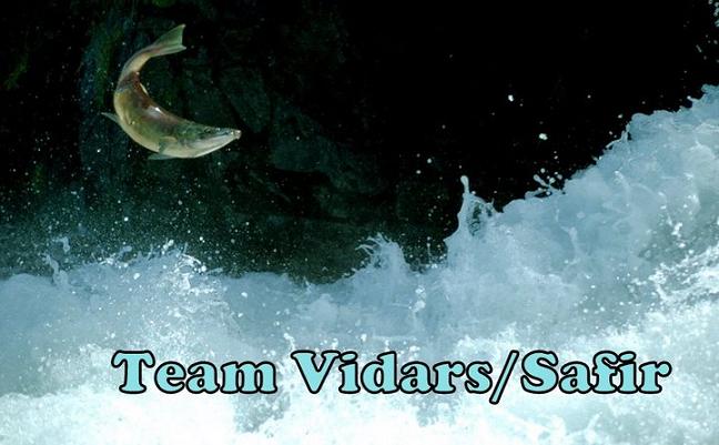 Team vidars fiske