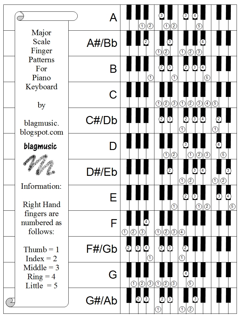 12 Major Scales Piano Pdf - bittorrenthub