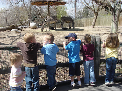 Tyler and Amber: Preschool Field Trip to the Zoo