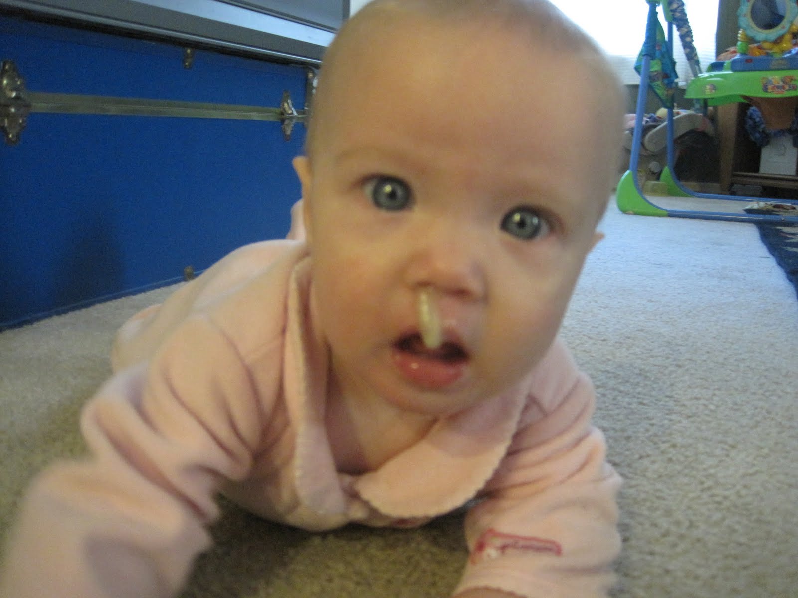Kemptons Kingdom Boogers And Babies kemptons-kingdom-boogers-and-babies