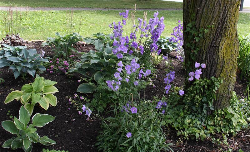 Life Looms Large: June 2010