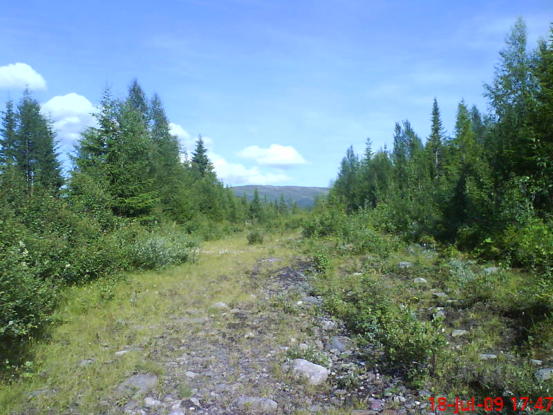 [image-upload-204-731924.jpg]