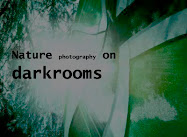 Nature photography on darkrooms