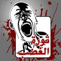ثورة الغضب في مصر..بدأت يوم 25 يناير 2011