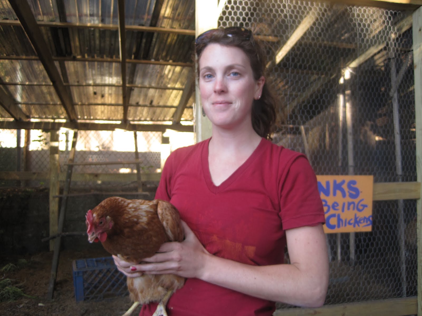 GreenBeat Brooklyn Chicken Keeping From NYRP, bk farmyards, Just Food