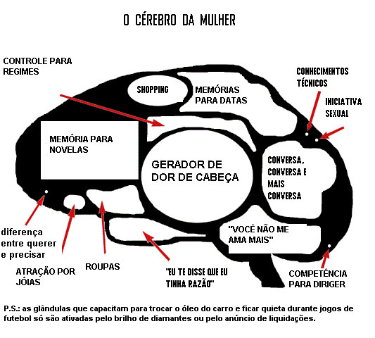 [cerebro_feminino.jpg]
