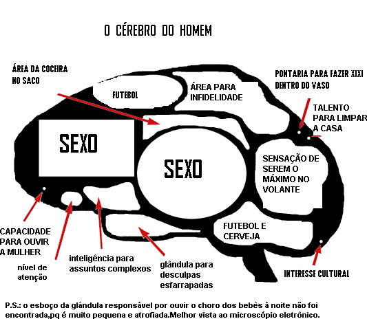 [cerebro_masculino.jpg]
