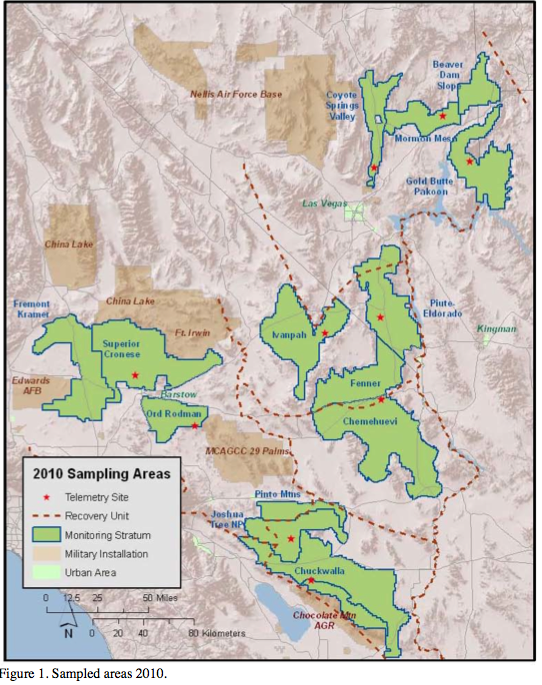 Desert Tortoise Monitoring Report Available