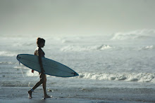 Everybody's gone surfin