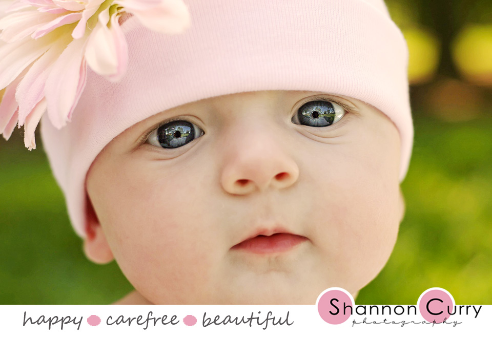Shannon Curry Photography