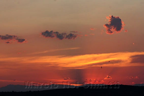 [IMG_4258T+leve.jpg]