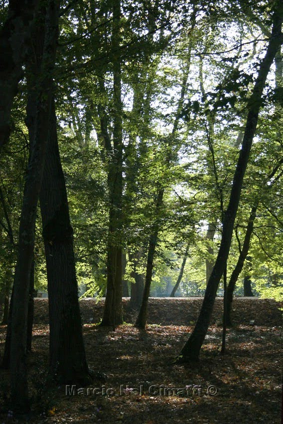 [IMG_1255T+leve.jpg]