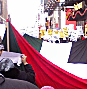 shot of enormous Palestinian flag and part of the crowd at the protest