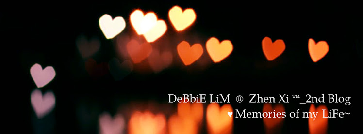 DeBbiE LiM  ®  Zhen Xi ™_2nd Blog
