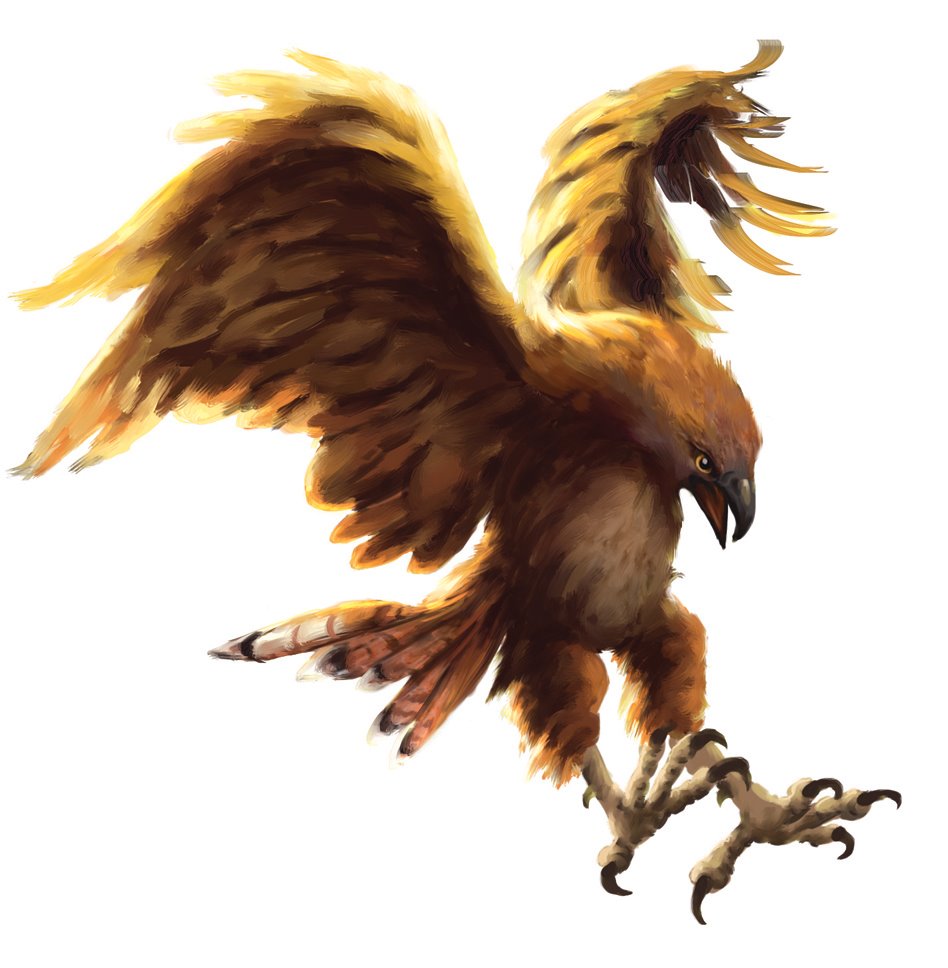 [hawk+after+painter.jpg]