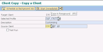 工作知識庫: [SAP] Client Copy
