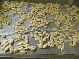 pumpkin seeds