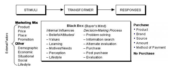 Mo's (Mohammed) Blogs: Perceptual process