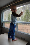 Best Window Washer 2009