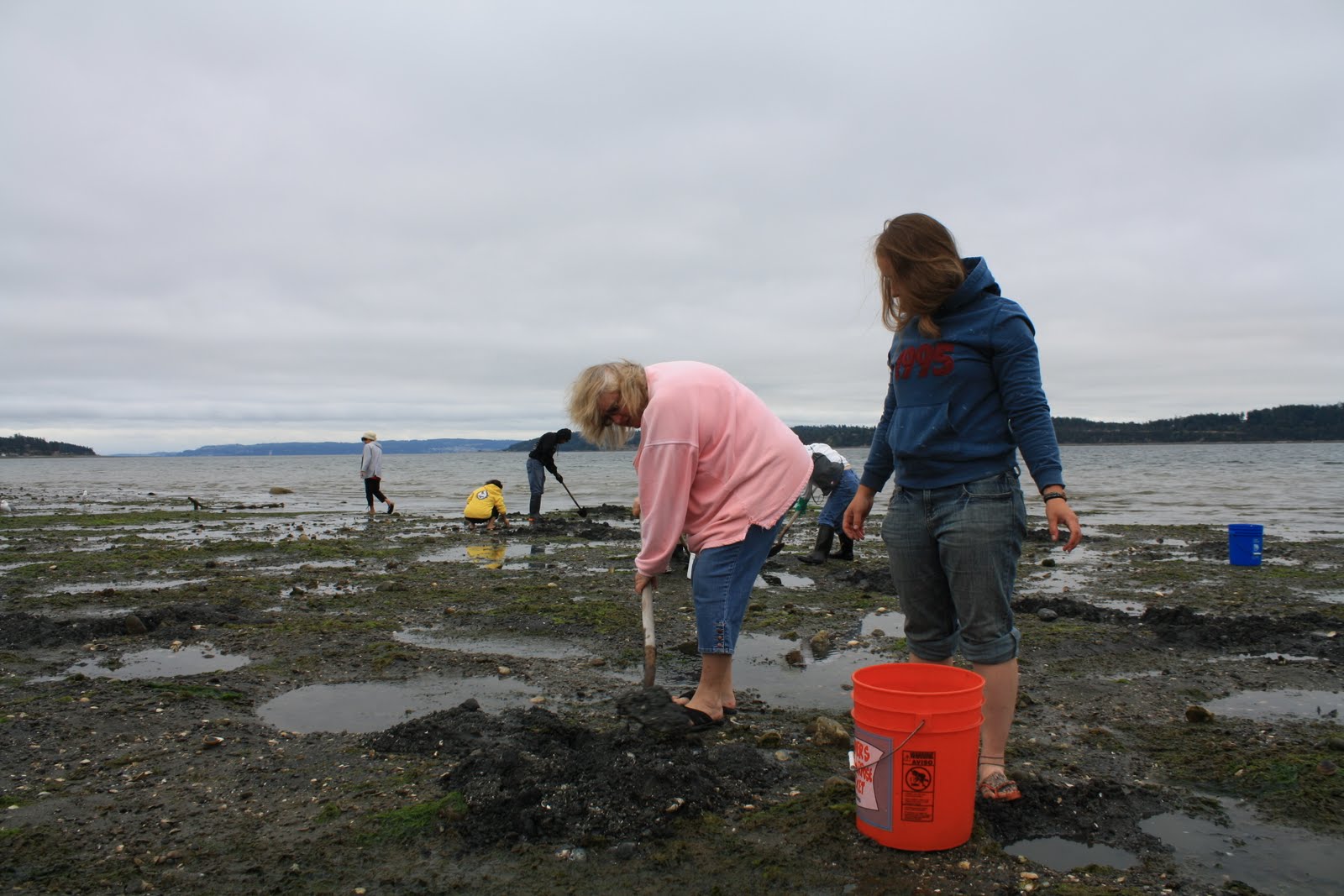 Ebey's Forever Clamdigging