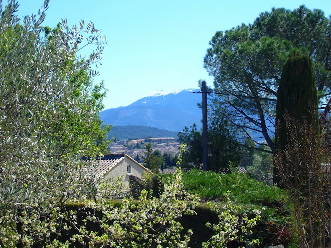 la vue sur le Ventoux