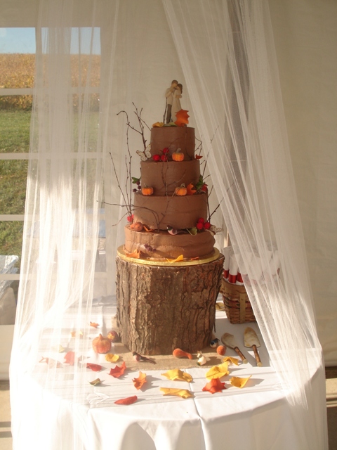 Fall Rustic Wedding Cake Chocolate Cherries cake with Chocolate 