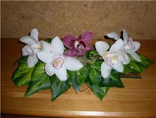 Très joli les orchidées de Maryse