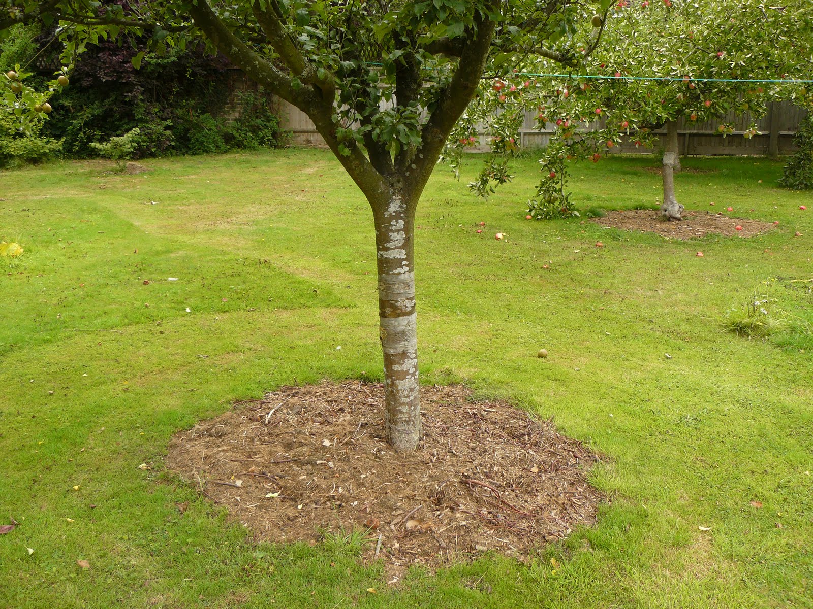 Peter Lovett's ramblings Ecological benefits of a no chemicals regime.