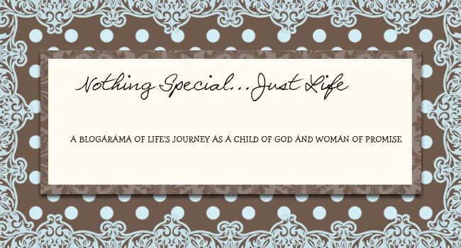 Nothing Special...Just Life