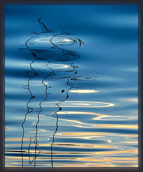 [serge+de+la+mer.jpg]