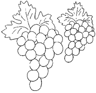 desenho de uvas para pintar