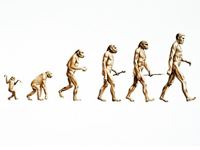 [Image: (evolu%C3%A7%C3%A3o).jpg]
