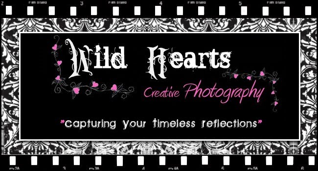Wild Hearts Creative Photography