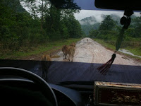 Vang Vieng