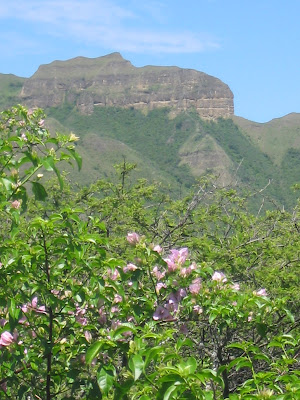 Vilcabamba Ecuador