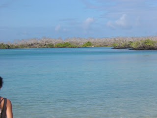 Floreana Island Galapagos Islands