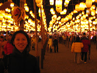 Taiwan Lantern Festival lights