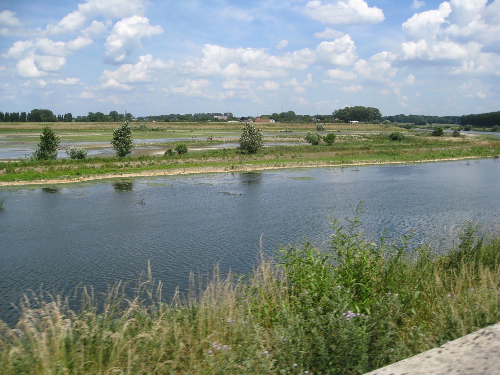 TOUR DE FRANS: June 2010