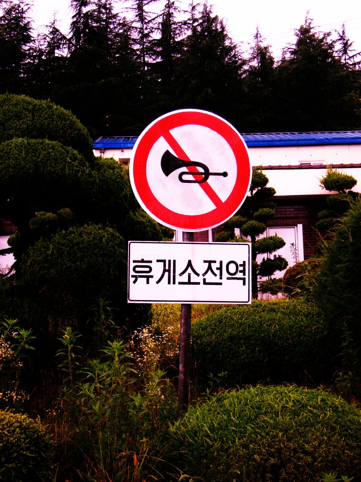 [138.JPG]