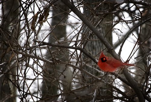 [3145913685_ea6c0b5697.jpg]