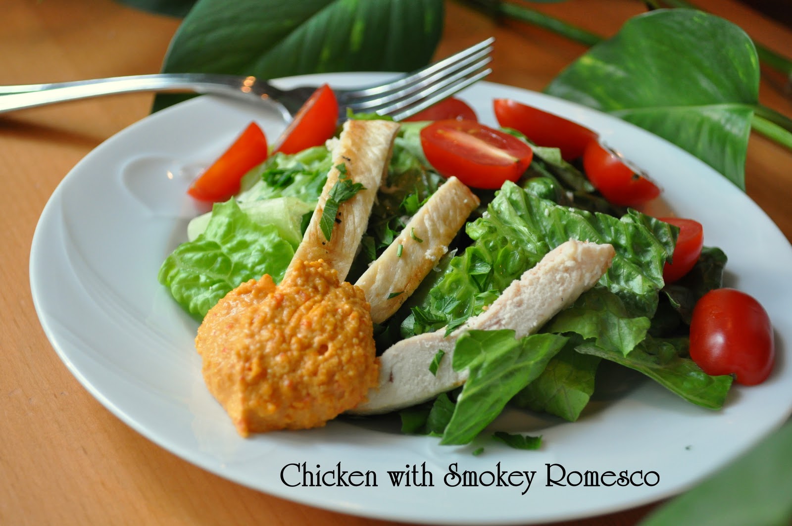 Rachael Ray Chicken And Rice Dog Food Rachael Ray Chicken And Rice Dog Food
