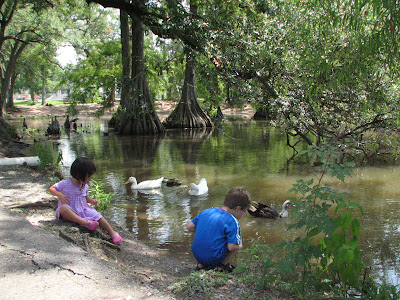 New Iberia City Park :Summer Adventure #1 | Dim Sum, Bagels, and Crawfish