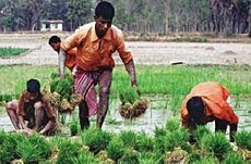 န Bogra, 15 February :